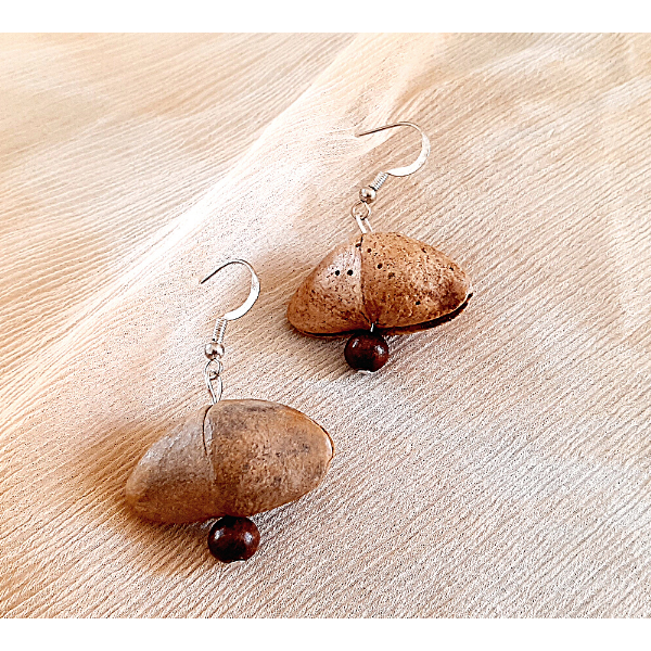 Lucky nut Earrings